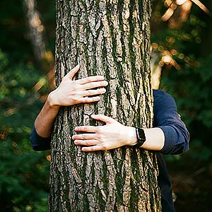 Você entra para nossa rede e ganha: brindes a cada 6 meses + descontos em marcas sustentáveis + 1 árvore plantada para você