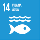 14 - Vida na água