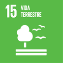 15 - Vida terrestre